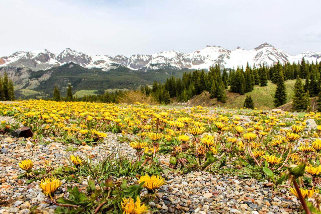 شقة Telluride Town Jewel المظهر الخارجي الصورة